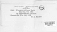 Image Associated With the Occurence
